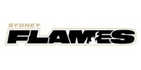 Logo Scroller_0000_Flames